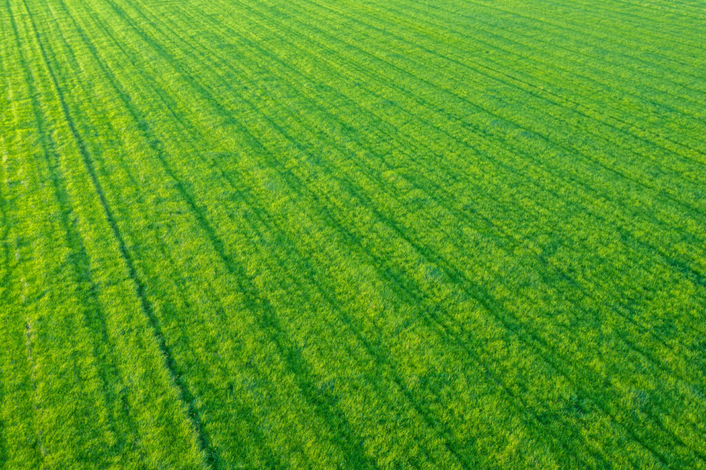 Greening the Land: How Farming Practices Can Help Tackle the Climate Crisis