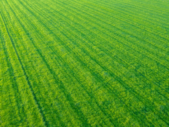 Greening the Land: How Farming Practices Can Help Tackle the Climate Crisis